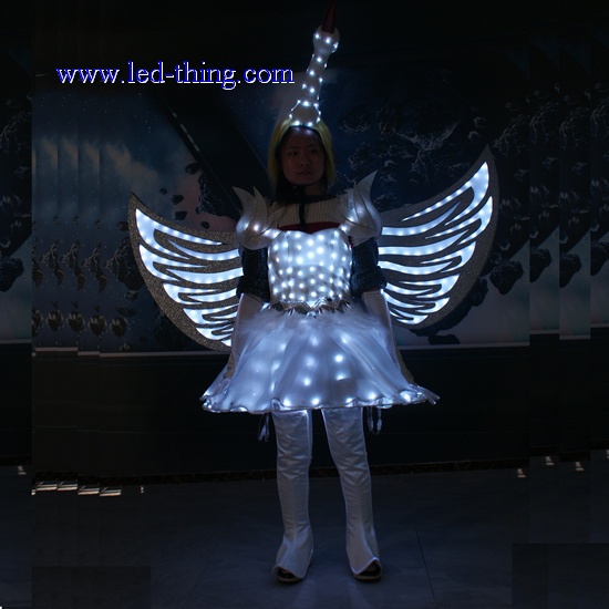 Fairy Princess Luminous Costume with Wings