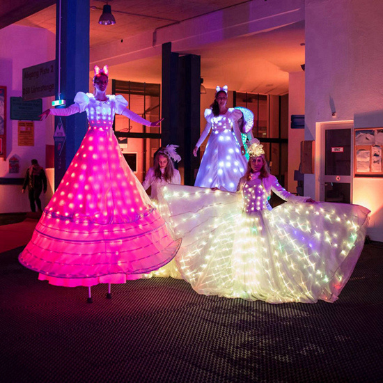 LED Themed Fairy Party walkers walking street performance Stilt Dress