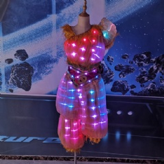 Kids LED Performance Costume