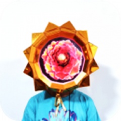 Mirror Sunflower With 3D Screen