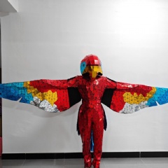 Silver Golden Mirror Colorful Mirror Parrot Dance Costume
