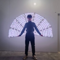 LED Light Up Peacock Big Fan Props For Street Performance