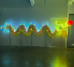 LED Luminous Dragon For Chinese New Year Festival Performance