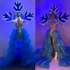 LED Snowwhite Princess Fairy Elsa Dress